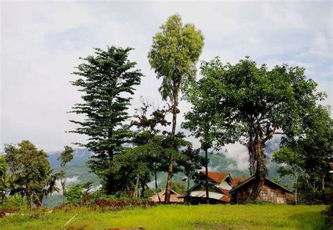 Exploring The Enchanting Beauty Of Mon District In Nagaland Notednames