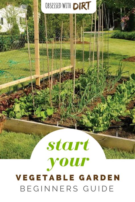 Vegetable Gardening For Beginners Planning Your First Plot Vegetable