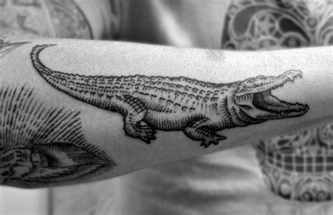 Traditional Alligator Tattoo Flash Alligator Tattoos Designs Ideas