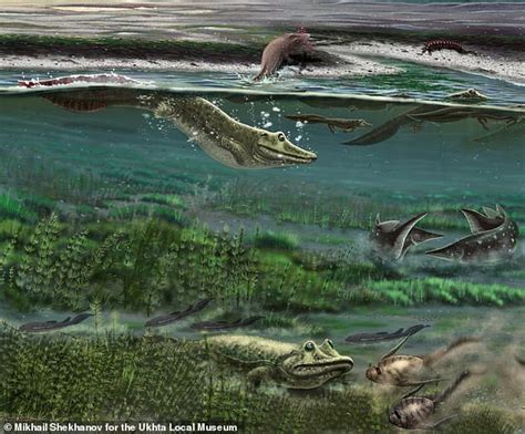 First Land Animals May Have Evolved But Never Left The Water Big