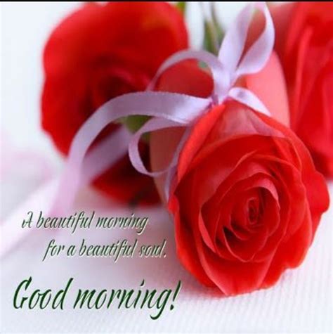 Pin By Dinesh Kumar Pandey On Good Morning Good Morning Roses Sweet
