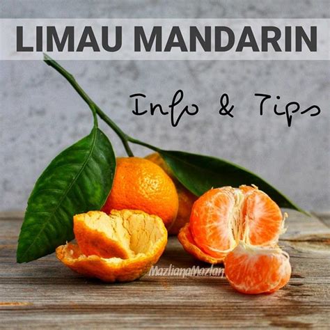 Mengapa ada yang mengatakan sekiranya kita makan buah ini terlalu banyak akan menyebabkan sakit tekak? Doktor Ini Jelaskan Kenapa Kadangkala Batuk Dan Sakit ...