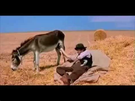 Hillarious Man Telling Time By Touching Donkey S Balls Youtube