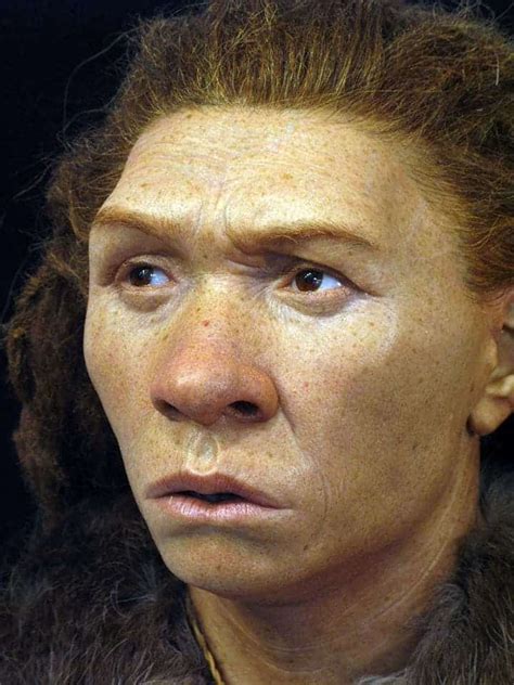 Neanderthal Face Reconstruction