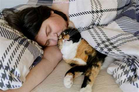 Does Your Cat Sleep With You At Night Heres Why They Should