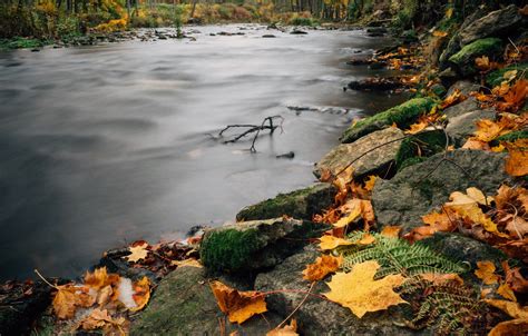 Обои River Photography Trees Landscape Nature Water Autumn Rocks