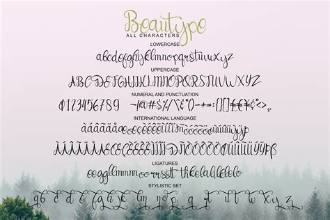 Beautype Simple Script Font