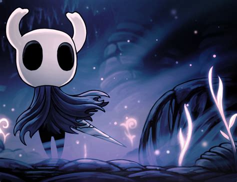 Hollow Knight Cover Art Nehru Memorial