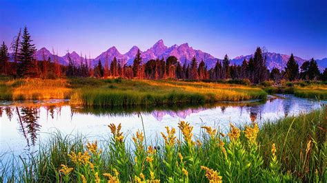 Summer Sunrise At Teton National Park Forest Water Quiet Flowers