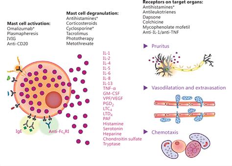 Figure 2 From Itch In Urticaria Management Semantic Scholar