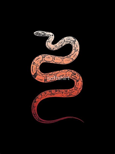 Aesthetic Snake By Softshirt Redbubble