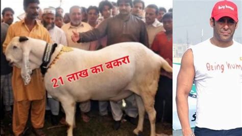 Salman Khan Ka Bakra 2022 Salman Khan Ke Bakra Ki Kimat Salman Ke