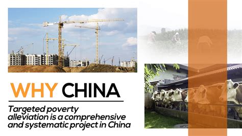 Targeted Poverty Alleviation Is A Systematic Project In China Cgtn