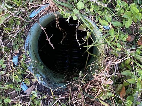 The side coming from the street is live, the other side, towards our house, is not. Green pipe in my front yard? : Whatisthis