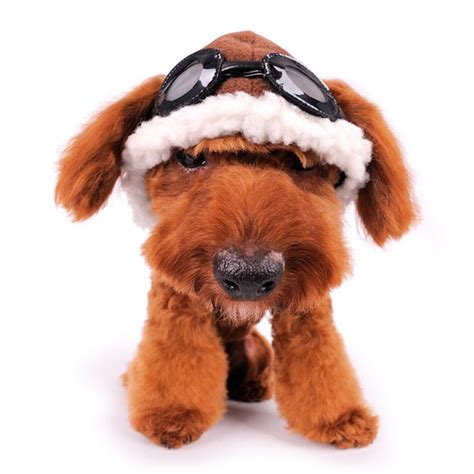 Dog Hat Aviator Rockstar Puppy Boutique