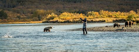 Alaska Fly Fishing Trips Lodges And Guides Yellow Dog Flyfishing