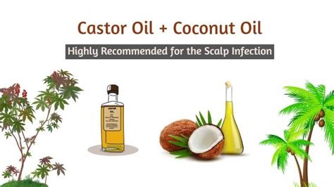 Benefits Of Castor Oil On Hair 12 Effective Hair Masks With Castor Oil