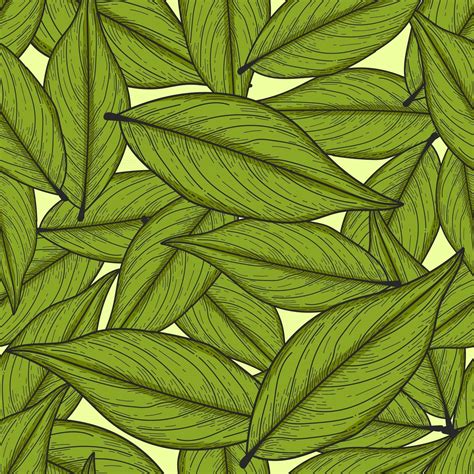 Seamless Pattern Hand Drawn Leaf Illustration 2519779 Vector Art At