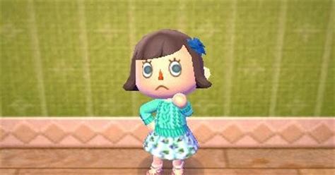 Please review the rules before posting. Animal Crossing: New Leaf: Green Jumper Combo
