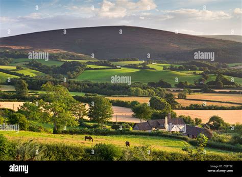 Farmhouse Surrounded By Rolling Exmoor Countryside Somerset England