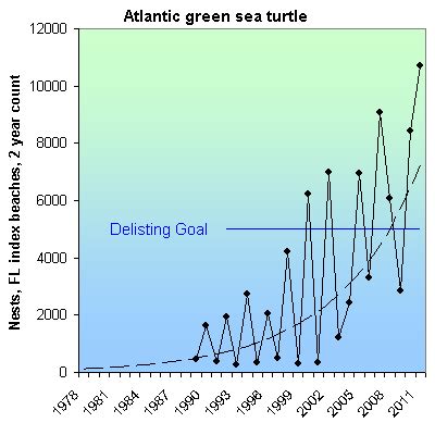 Evidence suggests that some hawksbill populations show cyclic nesting migrations. 110 Success Stories for Endangered Species Day 2012