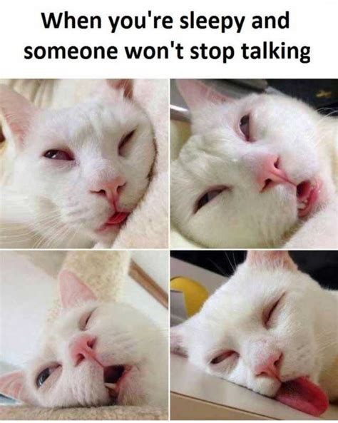 when youre sleepy and someone wont stop talking