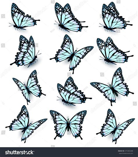 Collection Blue Butterflies Flying Different Directions Stock Vector