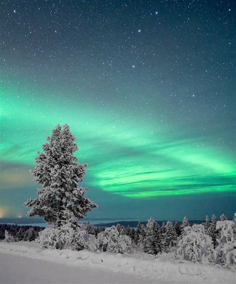 Viaggi Di Gruppo Lapponia Finlandese Alla Ricerca Dell Aurora Boreale Trip N Roll