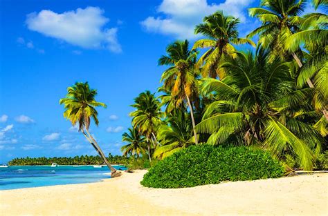 Which Caribbean Island Is Best For You Lonely Planet