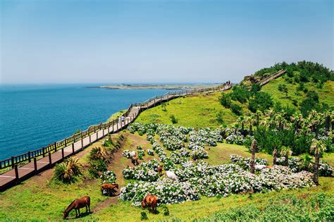 10 best things to do for couples in jeju island what to do on a romantic trip to jeju go guides