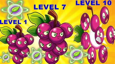 Grapeshot Pvz2 Level 1 7 Max Level In Plants Vs Zombies 2