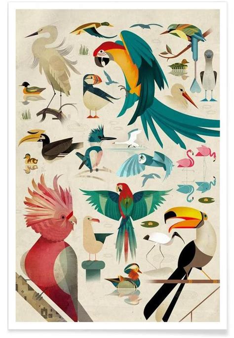 Vintage Vogels Poster Juniqe
