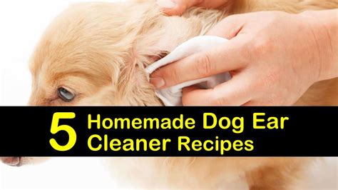 47 Can You Use Hydrogen Peroxide To Clean Dogs Ears Home