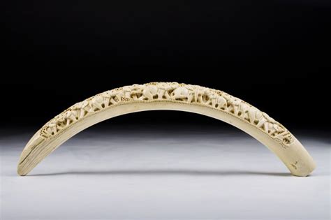 Auction 2 Lot 121 Carved Ivory Tusk Veritas Art Auctioneers