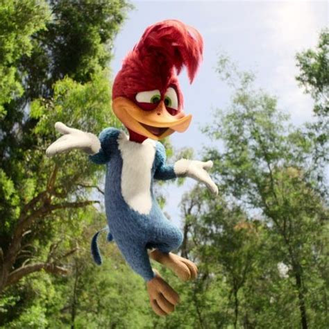 Woody Woodpecker Goes To Camp 2024