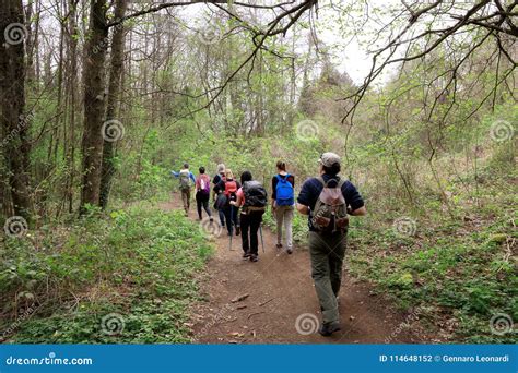 Group Of Hikers In The Woods Editorial Photography Image Of