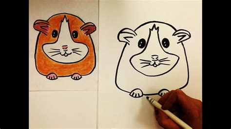 √ How To Draw Hamsters