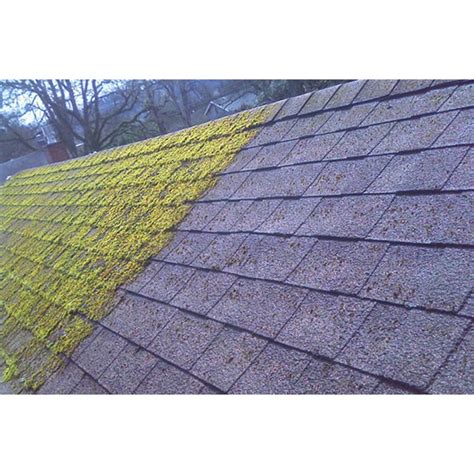 Within these areas, though, moss does not once moss has adhered to wood shingles, the moss can be harder to remove than it is from the relatively smoother planes of composite or asphalt shingles. Roof Moss Remover | Moss Killer for Roofs | Roof Moss ...