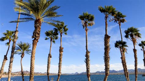 Arizonas Best Beaches 12 Places To Go Swimming