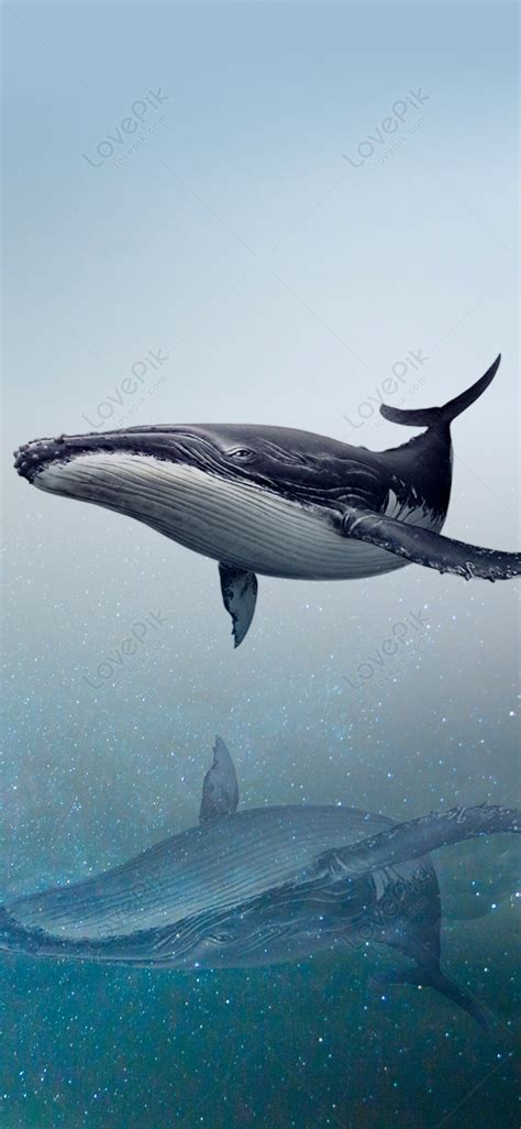 วอลล์เปเปอร์ดาวปลาวาฬมือถือ ดาวน์โหลดรูปภาพ รหัส 400268252ขนาด 56