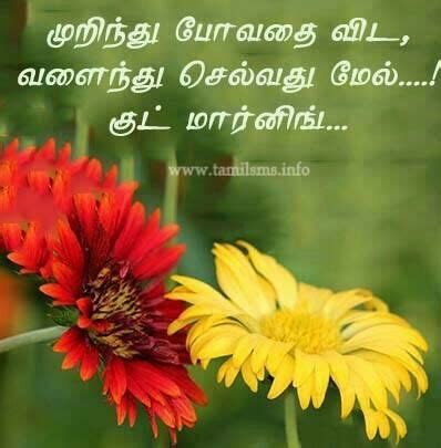 This is said both at the beginning and the end of the but, nowadays, people used to say kalai/malai/iravu (morning/evening/night) vanakkam which is absolutely wrong. √ Kalai Vanakkam Good Morning Tamil Memes