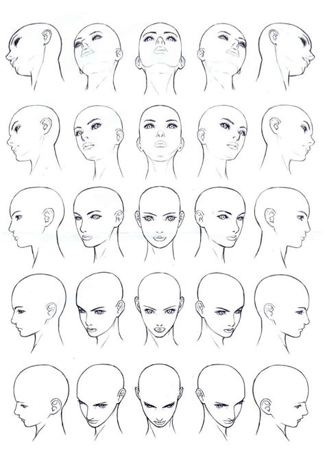 Head Drawing Template