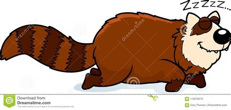 Cartoon Red Panda Sleeping Stock Vector Illustration Of Graphic