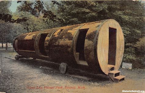Spruce Log At Palmer Park Postcards — Historic Detroit