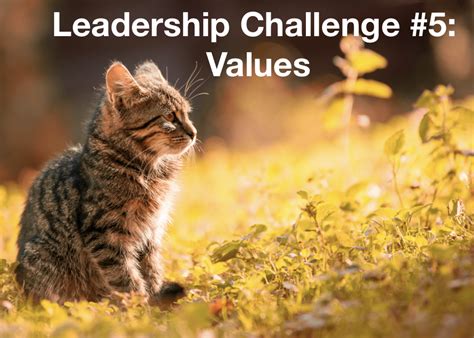 Leadership Challenge 5 The Value Of Whiskers Luminary Leadership
