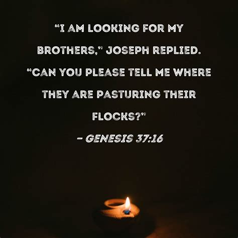 Genesis 3716 I Am Looking For My Brothers Joseph Replied Can You