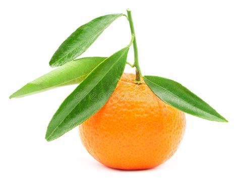Citrus With Leaf Cut In Half Mandarin Peeled Tangerine Isolated Stock