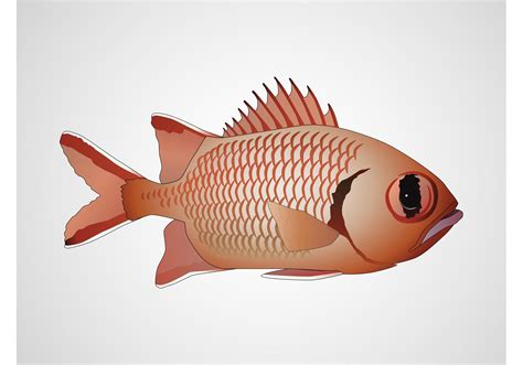 Vector Fish Download Free Vector Art Stock Graphics And Images