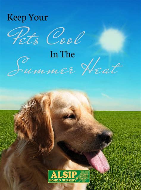 You can also add ice cubes so they will have a refreshing bowl of water all day long. How to Keep Your Dog Cool in the Summer Heat | Nursery ...