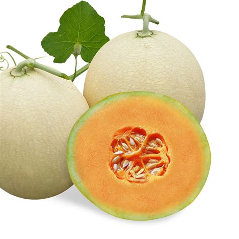 East West Seed Elite Melon Growers
